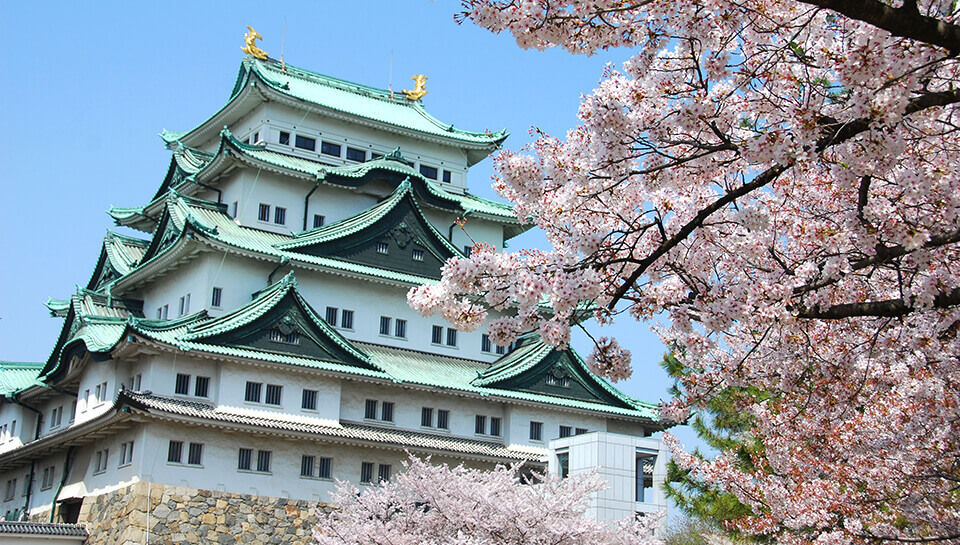 Nagoya Castle with Cherry Blossoms