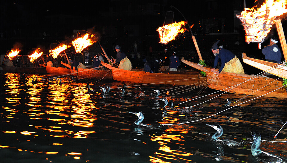 Cormorant fishing on the Nagara River