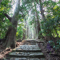 Kumano Kodo ‘Ancient Pilgrimage Trails of Kumano