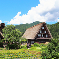 Shirakawa-go (World Heritage Site)