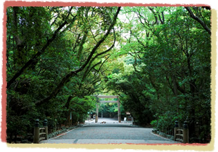 Torii