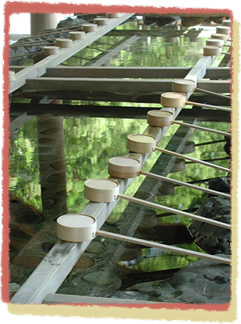Water Purification Basin